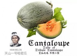 吃黑瓜网推荐,揭秘美食界的隐藏宝藏