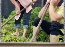 娱乐八卦吃瓜群众的,揭秘吃瓜群众的八卦盛宴