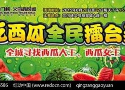 吃瓜活动主题,一场别开生面的吃瓜盛宴